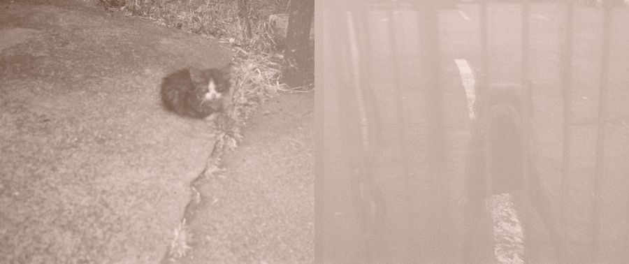 No. 59